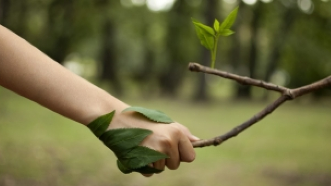 Atvērts Eiropas Inovāciju padomes Zaļā kursa projektu konkurss