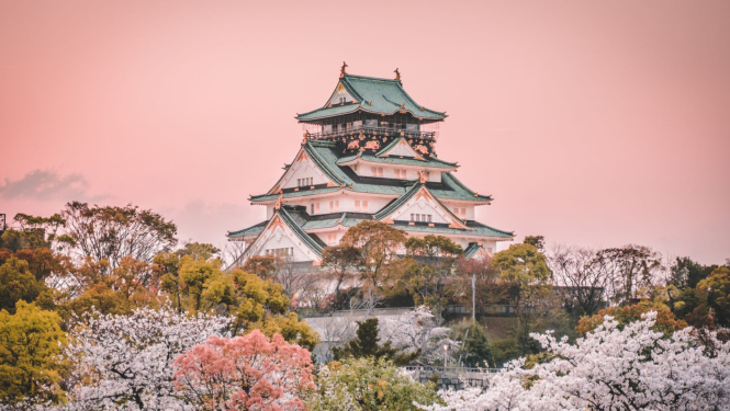 skats uz Japānas dabu un ēkām, rozā debesis fonā, priekšā ziedošas sakuras