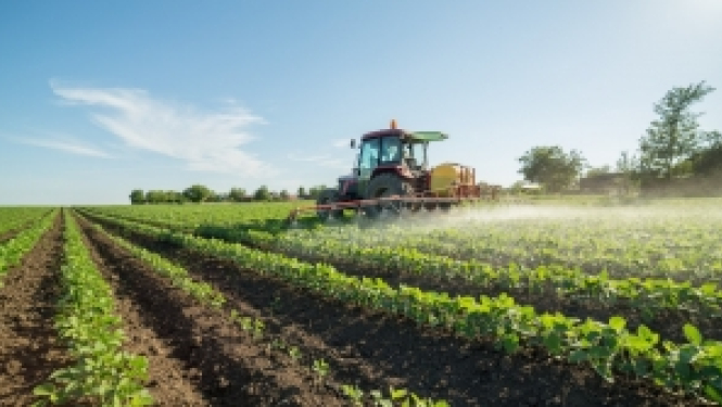 Young professionals will compete for the best title in agriculture