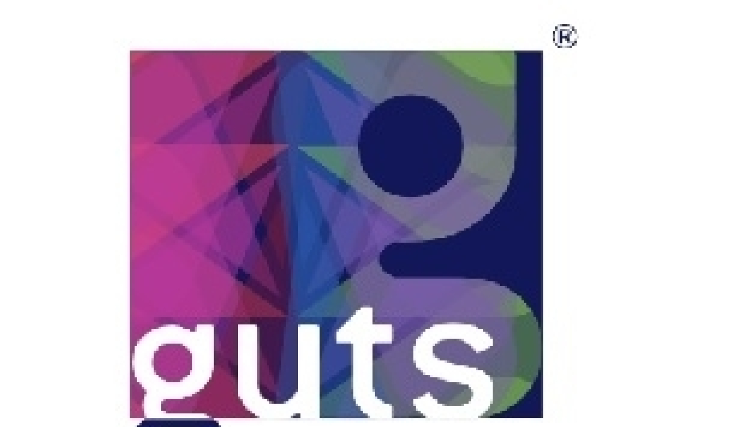 Summarized project results of social inclusion of generations