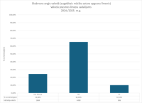 CE anglu valoda 2024.2025. limenis