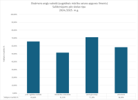 CE anglu valoda 2024/2025 skolas tipi