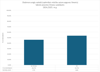 CE anglu valoda 2024./2025. limenis