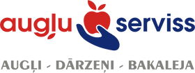 Augļu serviss
