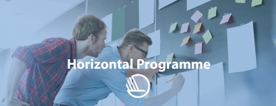 Horizontal Programme