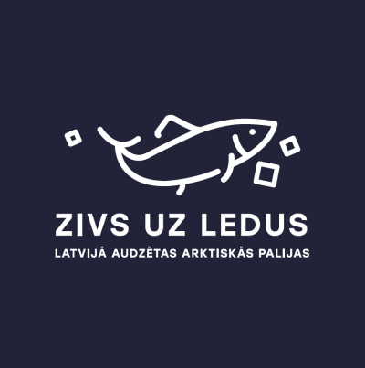 ZivsUzLedus