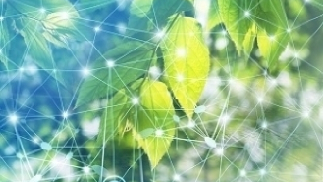 The Norway Grants research project scientists’ work recognized as the achievement in the science