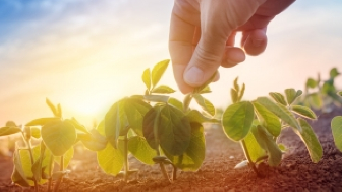 Briselē notiks Apvārsnis 2020 informācijas dienas par klimatu, vidi un resursiem