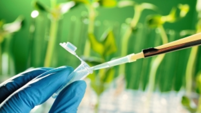 Izsludināts otrais ERA CoBioTech pētniecības projektu konkurss biotehnoloģijas jomā
