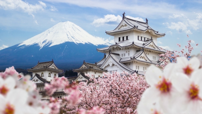 Japānas stipendija, sakura priekšplānā un skats uz Fudzijama kalna virsotni