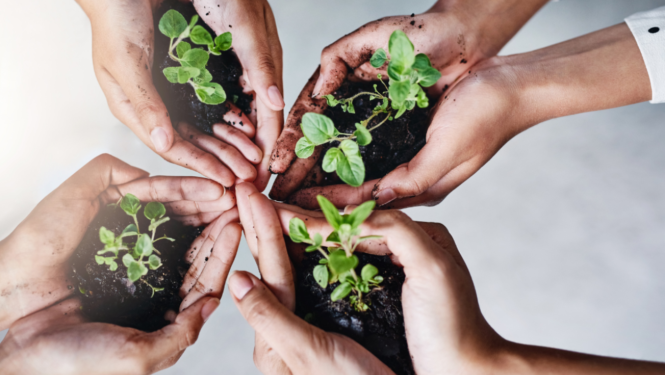 Cilvēki plauksās tur stādus ar zemi