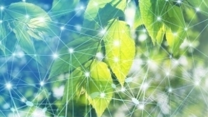 The Norway Grants research project scientists’ work recognized as the achievement in the science