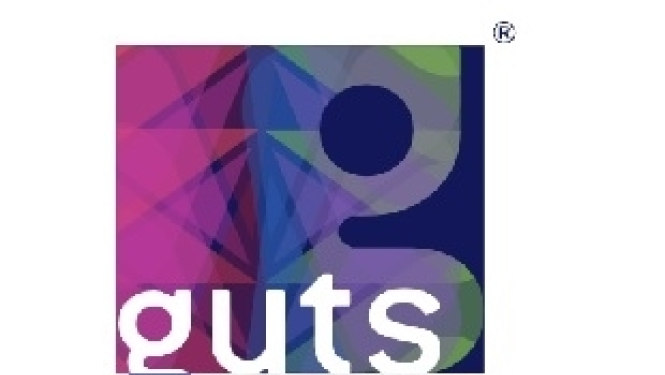 Summarized project results of social inclusion of generations