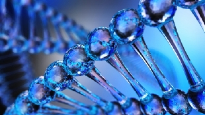 Izsludināts jaunais EuroNanoMed III konkurss