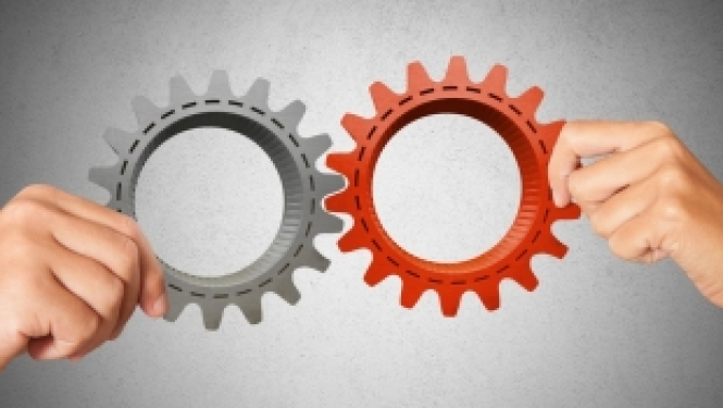 Aicinām iesniegt projektu pieteikumus dzimumu līdztiesības plānu izstrādei