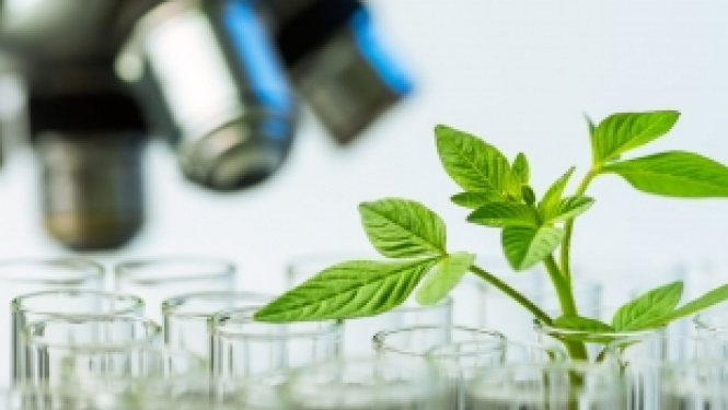 Atvērti projektu konkursi Apvārsnis 2020 apakšprogrammā SC2