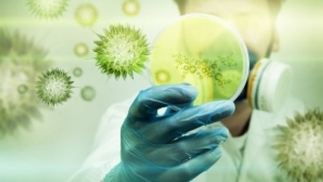 Brīdinājumi ārvalstu projektu īstenotājiem Covid-19