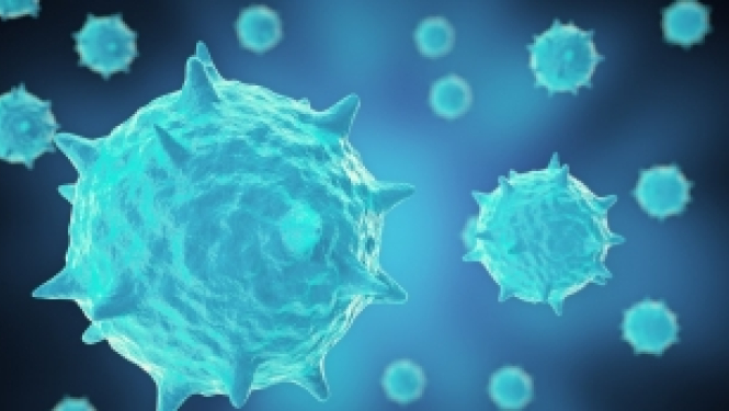 Ir sagatavots paziņojums par Covid-19 Nordplus projektu īstenotājiem