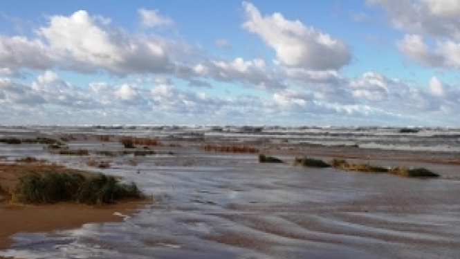 Notiks seminārs par projektu pieteikumu konkursu ”Blue Baltic”