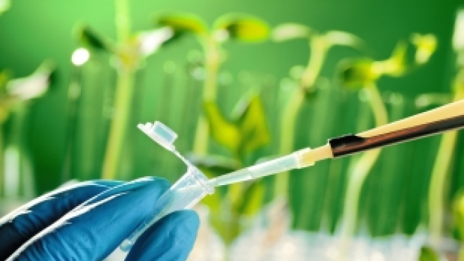 Izsludināts otrais ERA CoBioTech pētniecības projektu konkurss biotehnoloģijas jomā