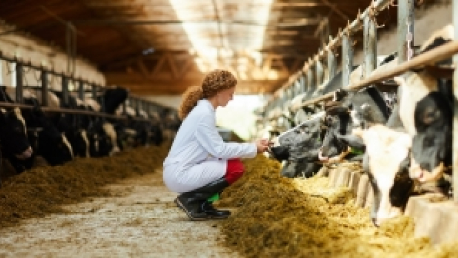 Izsludināts ERA-NET ICRAD konkurss par dzīvnieku infekcijas slimību pētniecību