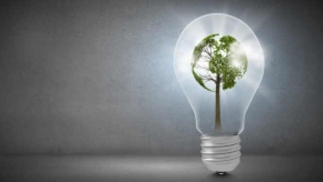 Oktobrī norisināsies Eiropas zaļā kursa projektu konkursam veltīta virtuālā kontaktbirža