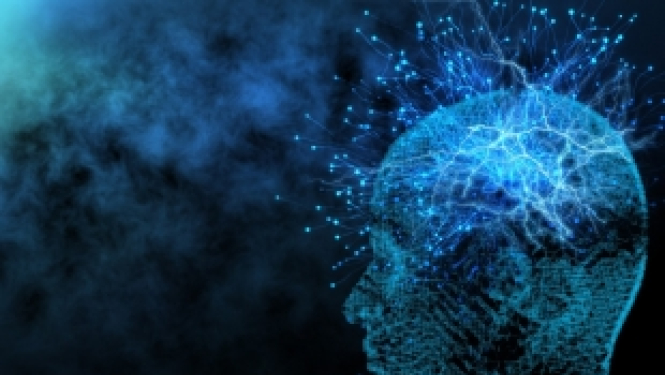 ERA-NET izsludina konkursu par neirozinātnes sociālajiem un likumiskajiem aspektiem