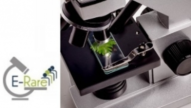 Izsludināts jaunais E-RARE-3 projektu konkurss