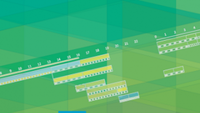 Publicēti ziņojumi par vispārējās izglītības sistēmu struktūru un izglītības ilgumu Eiropā