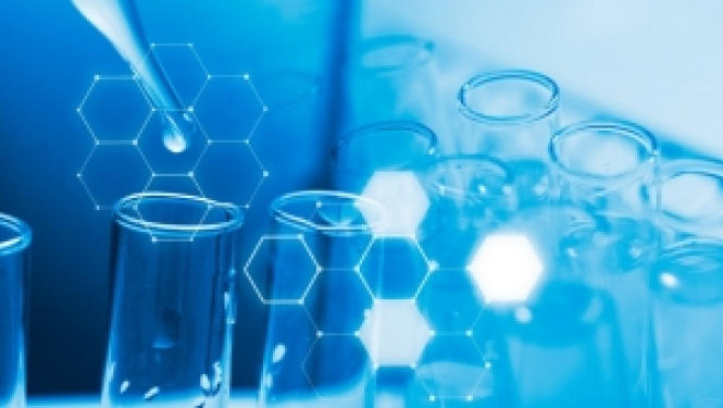 Radīta IMI2 virtuāla partneru platforma