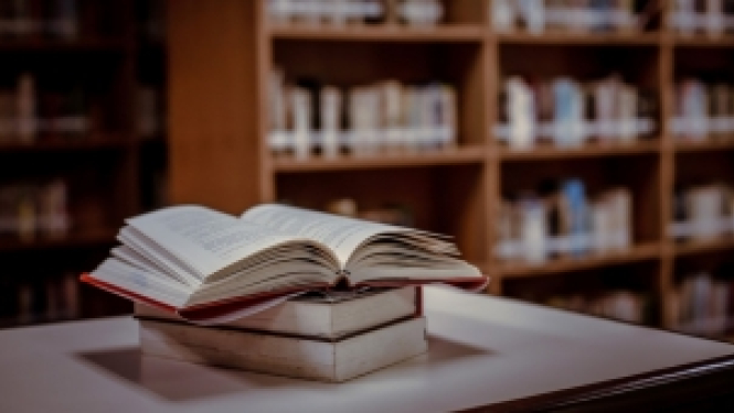 NESET tīkls organizē vebinārus par valodu apmācību un bilingvāliem modeļiem