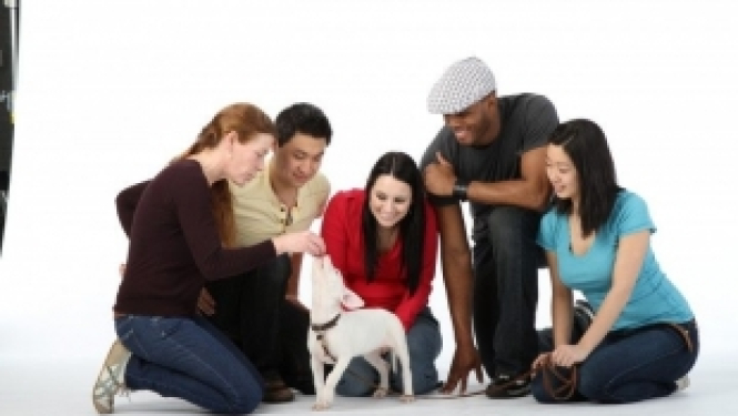 Aicinām pieteikties Erasmus+ starptautiskās sadarbības pasākumam Horvātijā