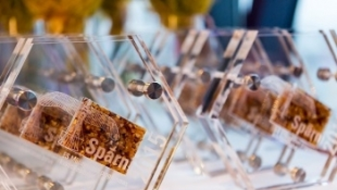 Pasniegtas ES Mūžizglītības programmas projektu kvalitātes balvas “Spārni 2015”