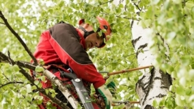 Pieredzes stāsts: atgriežas Latvijā un kopā ar dvīņubrāli iegūst profesiju