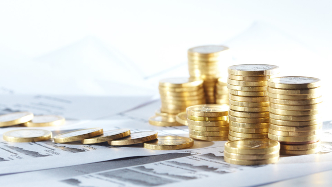 eiro nauda salikta kaudzites Apvarsnis 2020