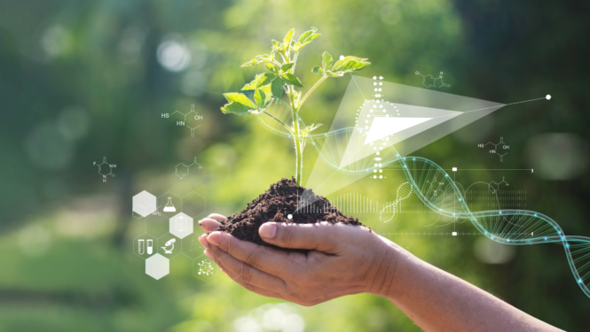 Cilvēks tur rokās stādu ar zemi