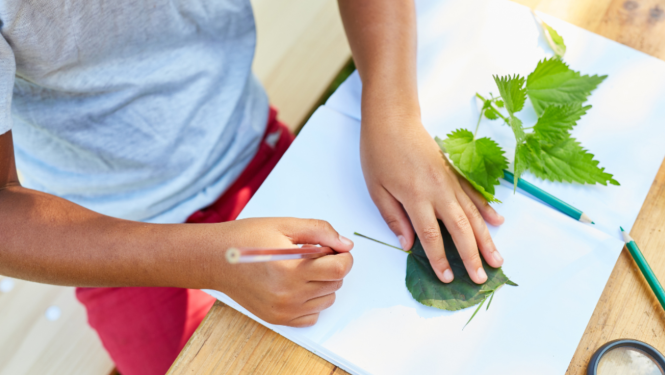 Bērns zīmē uz papīra lapas