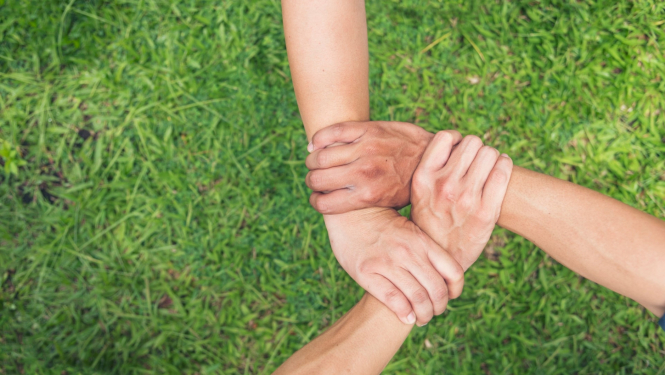 rokas satver viena otru fonā zaļa zāle