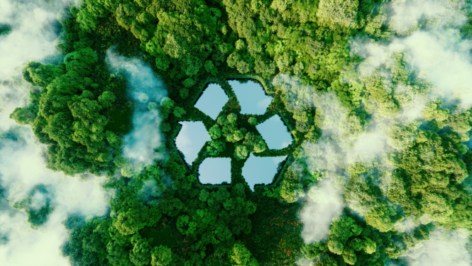 Mežs no putna lidojuma