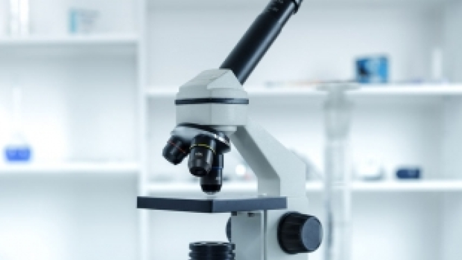 Jaunajiem zinātniekiem vienkāršota pieteikšanās pēcdoktorantūras pētniecībai