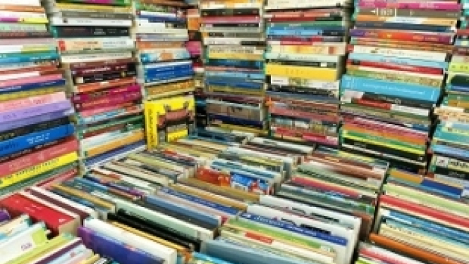 Somijā norisināsies kontaktseminārs par ieslodzīto izglītošanu