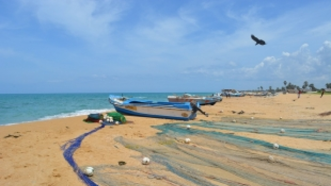 Šrilankas valdības stipendijas bakalaura studijām Šrilankā