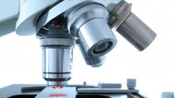 ERA-NET Cofund izsludina konkursu neirodeģeneratīvo slimību jomā