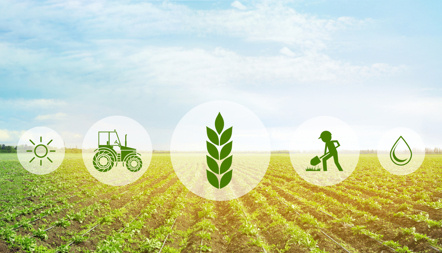 SkillsLatvia jaunie profesionāļi sacentīsies konkursā “Lauksaimniecība (Augkopība)”