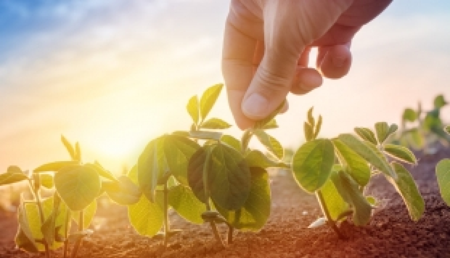 Aicinām apmeklēt informācijas dienas par vides un resursu tematiku Briselē