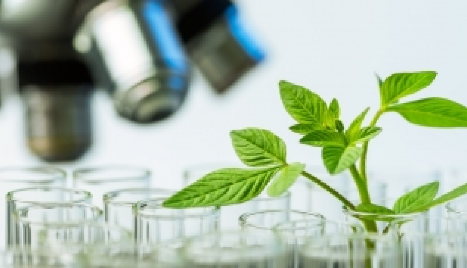 Atvērti projektu konkursi Apvārsnis 2020 apakšprogrammā SC2