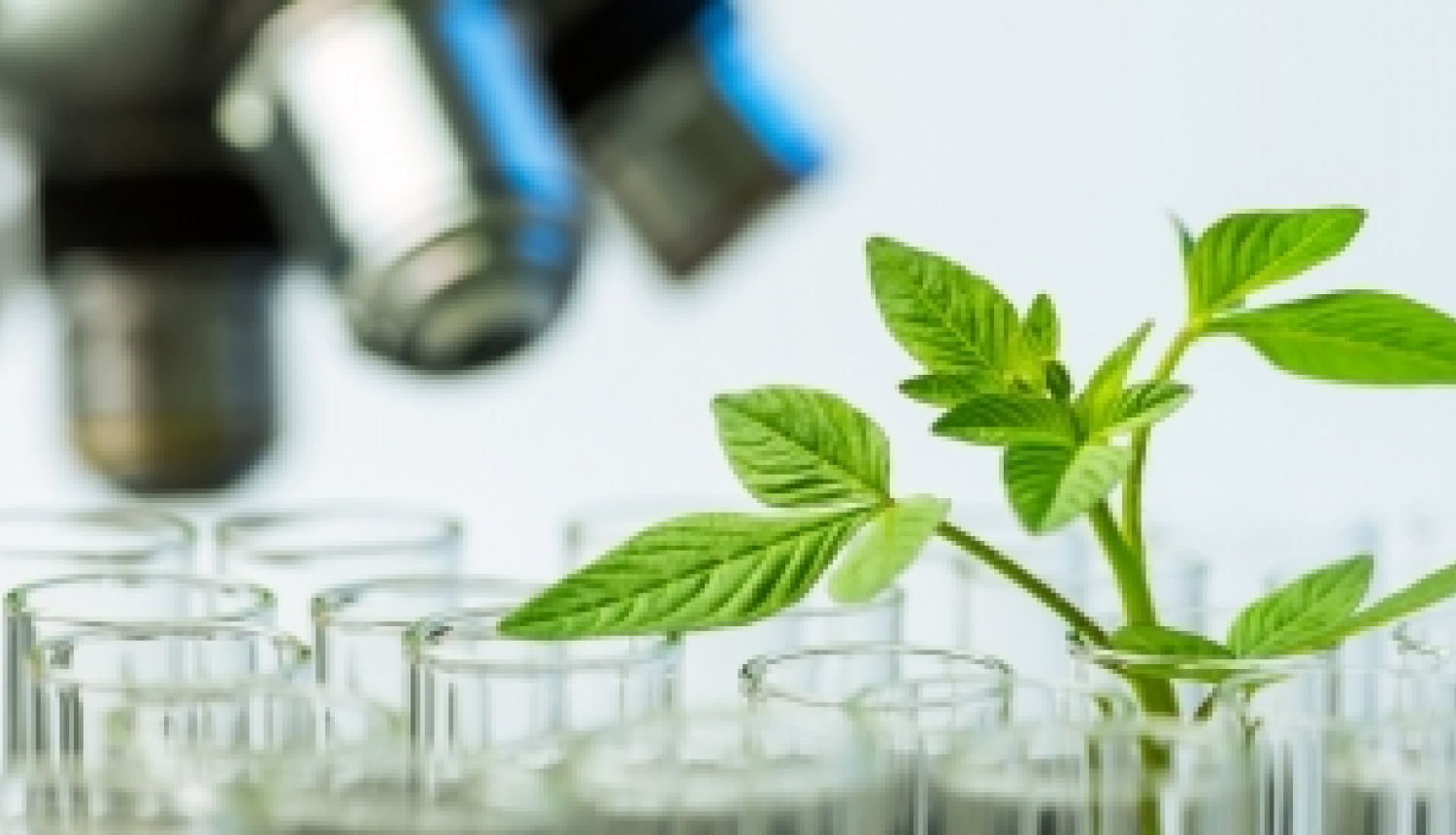 Notiks informatīvā diena par 2020. gada projektu konkursiem  biorūpniecībā