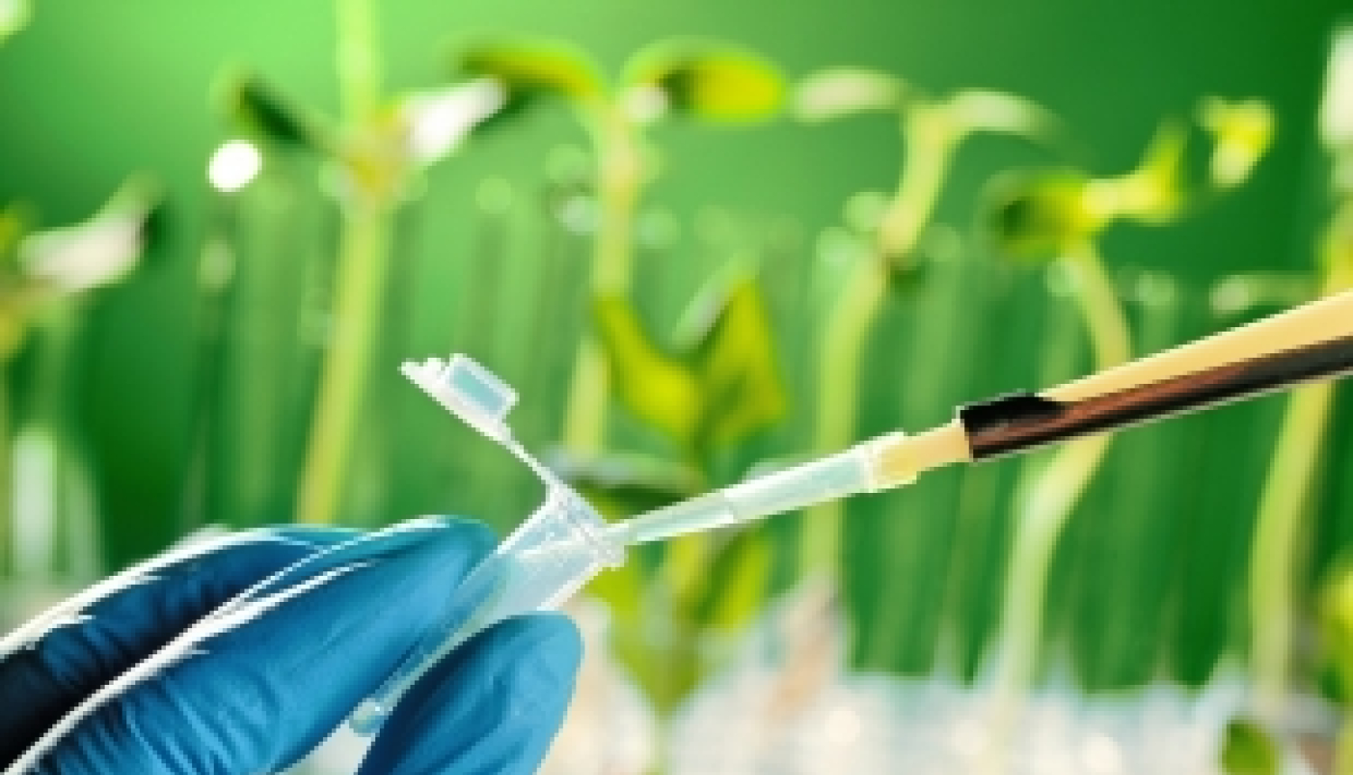 Izsludināts otrais ERA CoBioTech pētniecības projektu konkurss biotehnoloģijas jomā