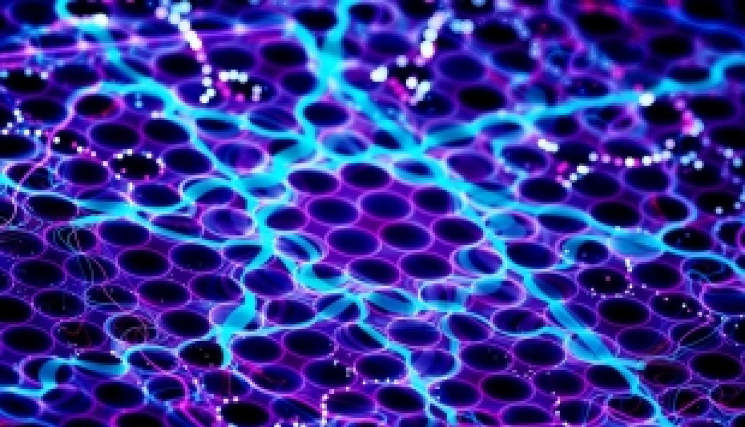 Izsludināts jauns konkurss ERA-NET NEURON smadzeņu slimību un nervu sistēmas saslimšanu jomā