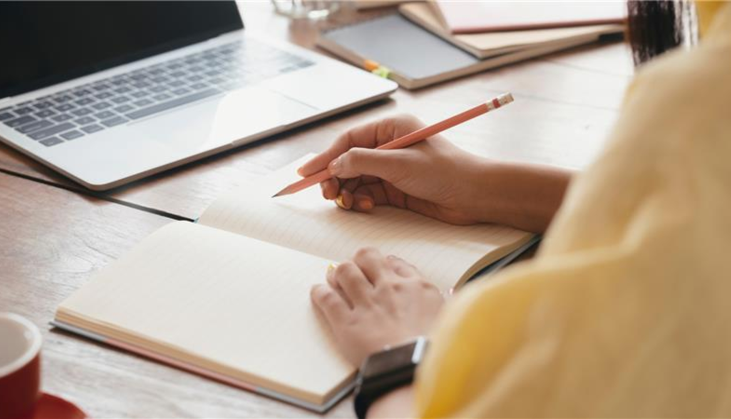 Erasmus+ Mācību mobilitātes (KA1) projektu konsultācijas